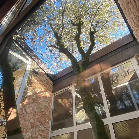 The Tree - View And Terrace * Sala Comacina